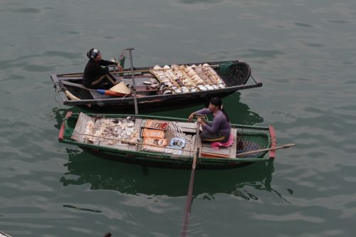 Pearl & Shell Sellers