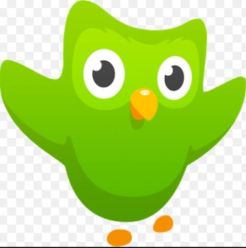 Duolingo Free Language Learning