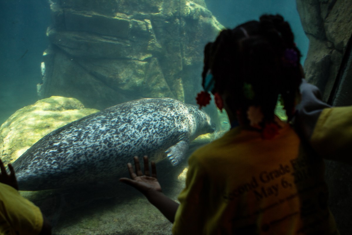 Little Girl, Children