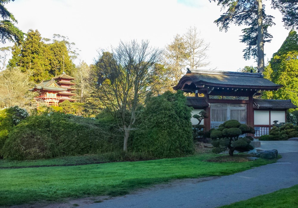 Kaiser Permanente San Francisco Half Marathon 2016